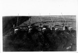 Davis Farm - Corn Planter