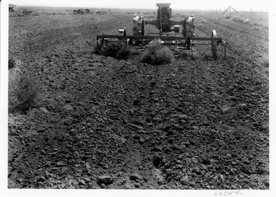 Lone Warrior Farm - Rotary Rod Weeder
