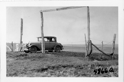 Cattle Ranch