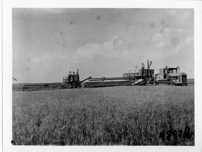 Lone Warrior Farm - Harvesting