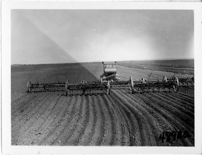 Lone Warrior Farm - Duckfoot Cultivator