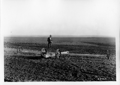Lone Warrior Farm - Hitches