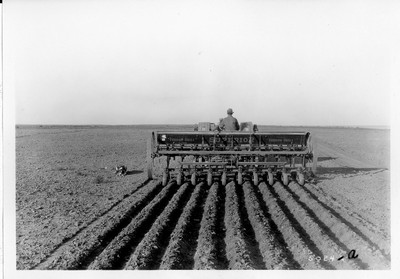Lone Warrior Farm - Drills