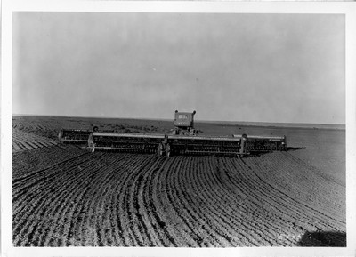 Lone Warrior Farm - Wheat