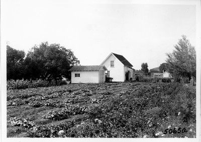 Part-Time Farms