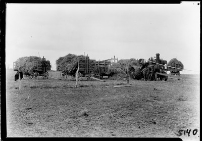 Wheat - Threshing