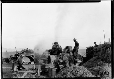 Wheat - Threshing