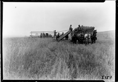 Header Threshing