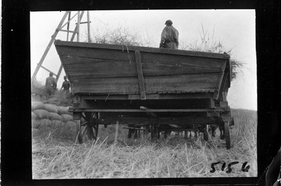 Header Threshing