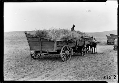 Header Threshing