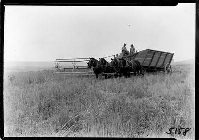 Header Threshing