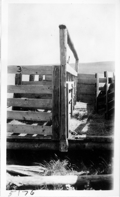 Shearing Plant