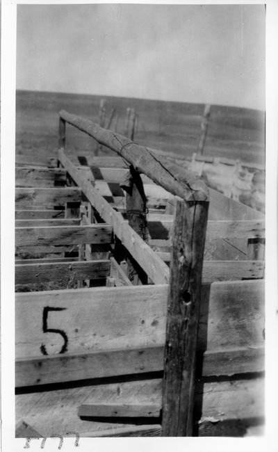 Shearing Plant