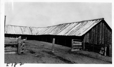 Cattle Shed