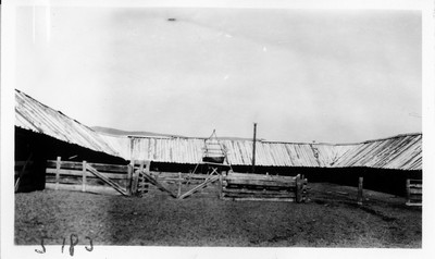 Cattle Shed