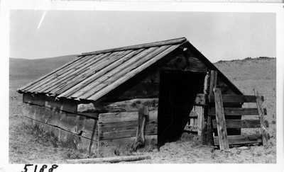 Lambing Shed