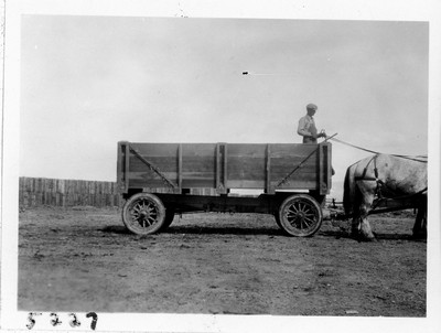 Wagon & Horses