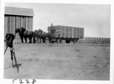 Wagon & Horses