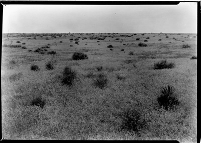 Billings Area - General Scenery