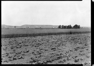 Billings Area - General Scenery