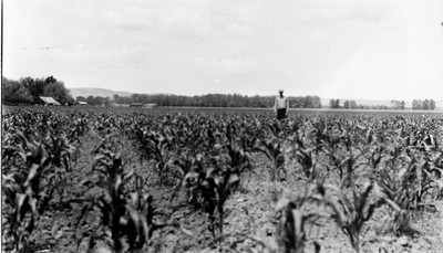 Billings Area - Fields