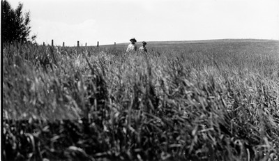 Billings Area - Fields