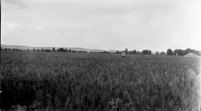 Billings Area - Fields