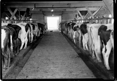 Barns