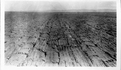 Dry Land Disking