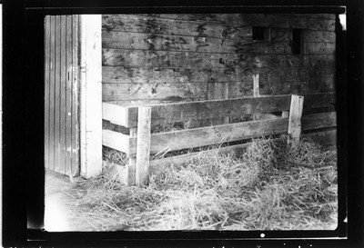 Big Teams - Barn