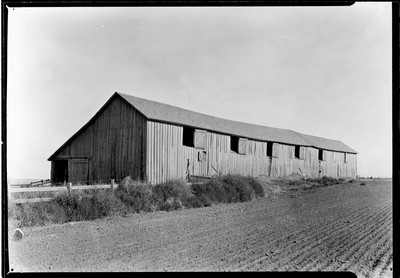 Big Teams - Barn