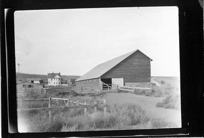 Big Teams - Barn