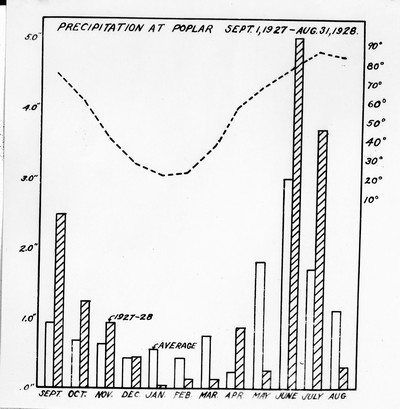 Chart - Precipitation