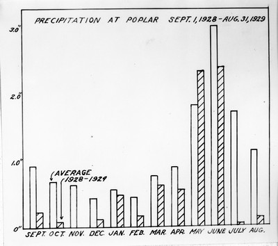 Chart - Precipitation