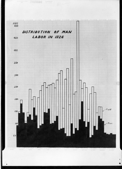 Chart - Distribution of Labor