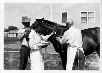 Vet Research