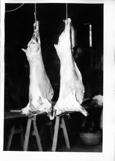 Lamb Carcasses