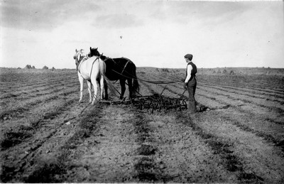 Cultivating