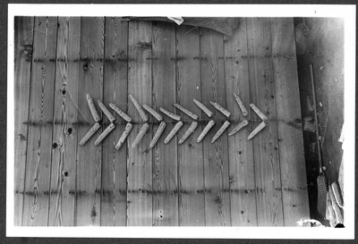 Corn Exhibit