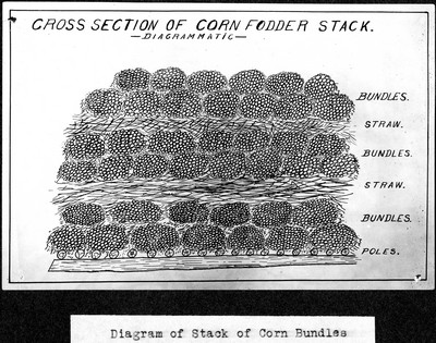 Drawing - Stack of Corn Bundles