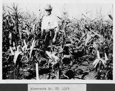 Corn