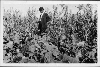 Corn