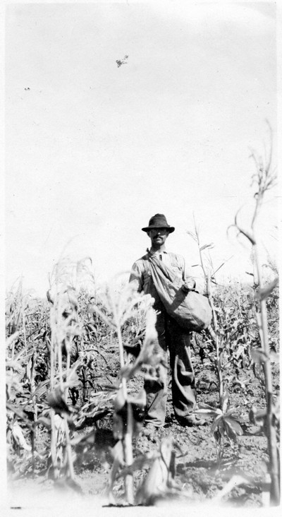 Corn Picker