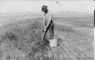 Field Day Demonstration