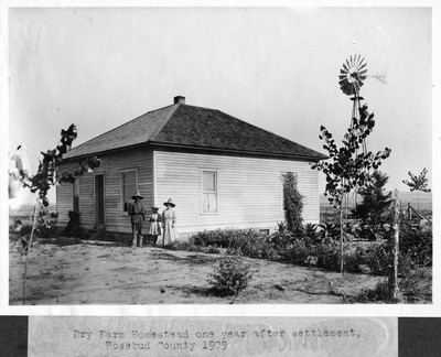 Dry Land Homestead