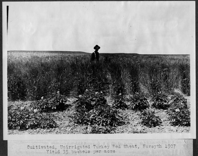 Cultivating