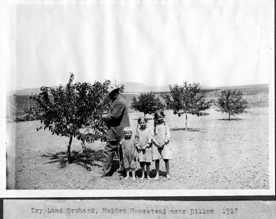 Dry Land Orchard
