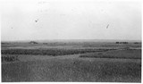 Dry Land Agriculture