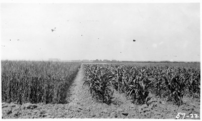 Dry Land Agriculture