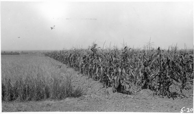 Dry Land Agriculture